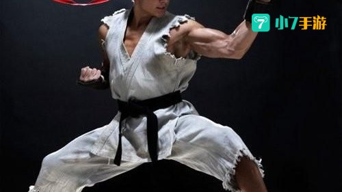 街头霸王:刺客之拳